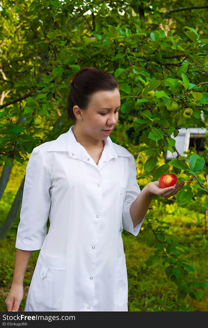 A pretty woman doctor handing an apple in the apple garden. A pretty woman doctor handing an apple in the apple garden