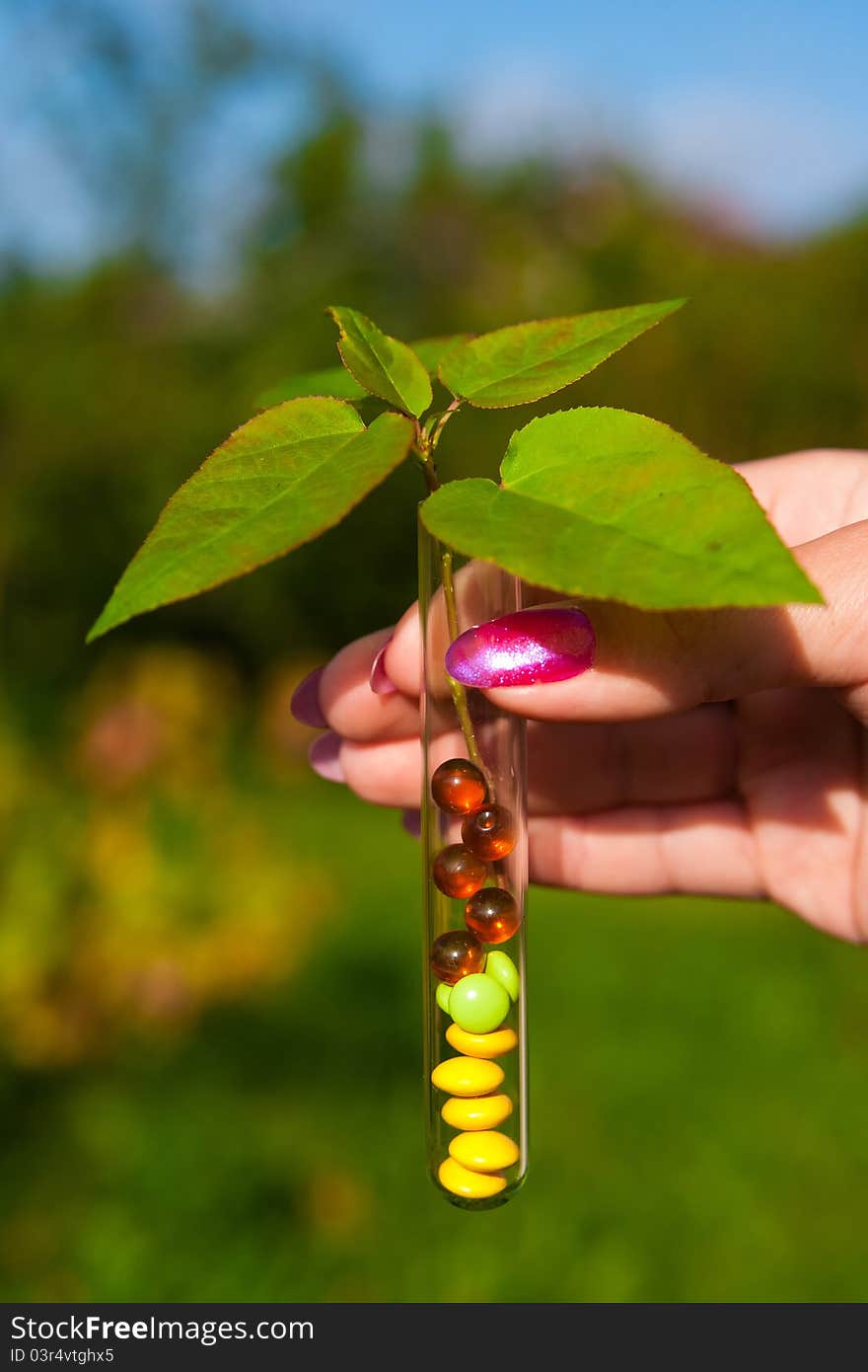 Test Tube With Tablets, Berries And Plant