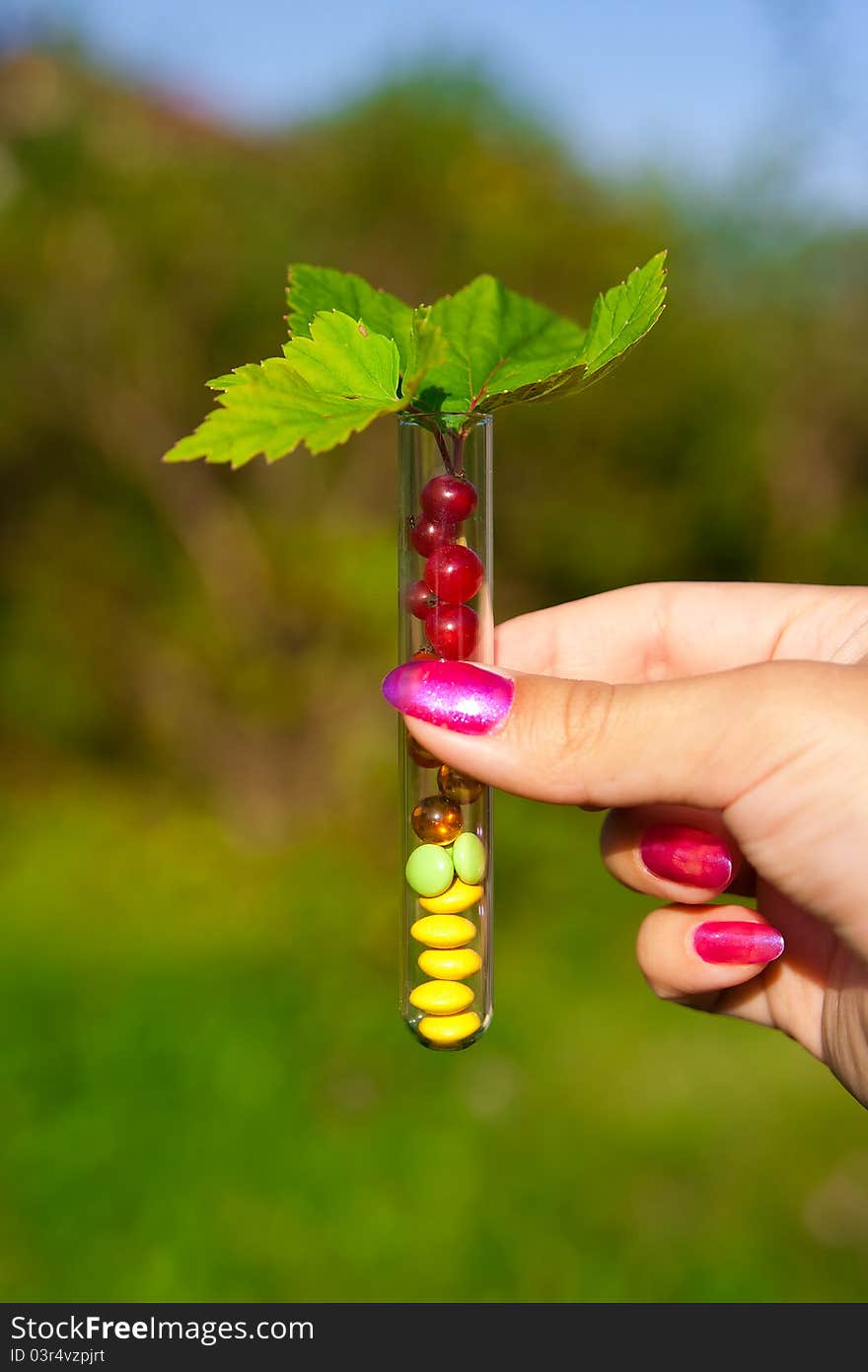 Test tube with tablets, berries and plant