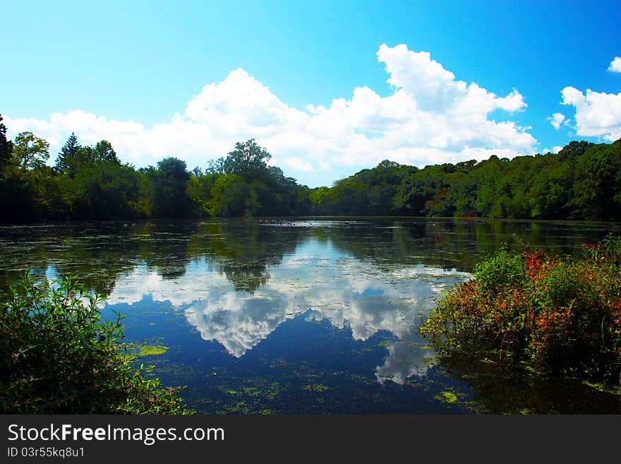 Caleb State Park, Smithtown NY in the Summertime