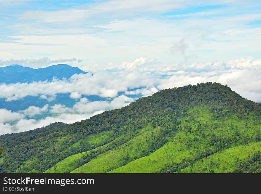 Misty hill looked from view point. Misty hill looked from view point