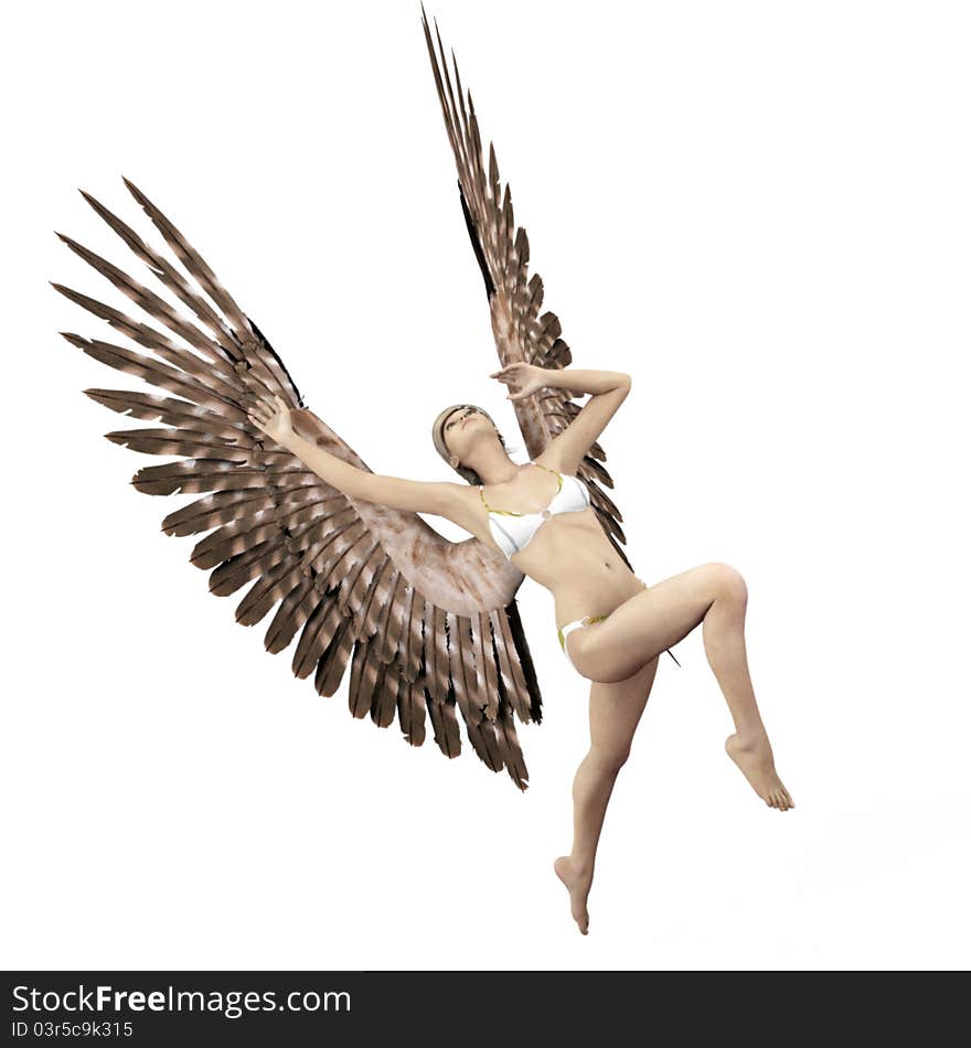 Flight