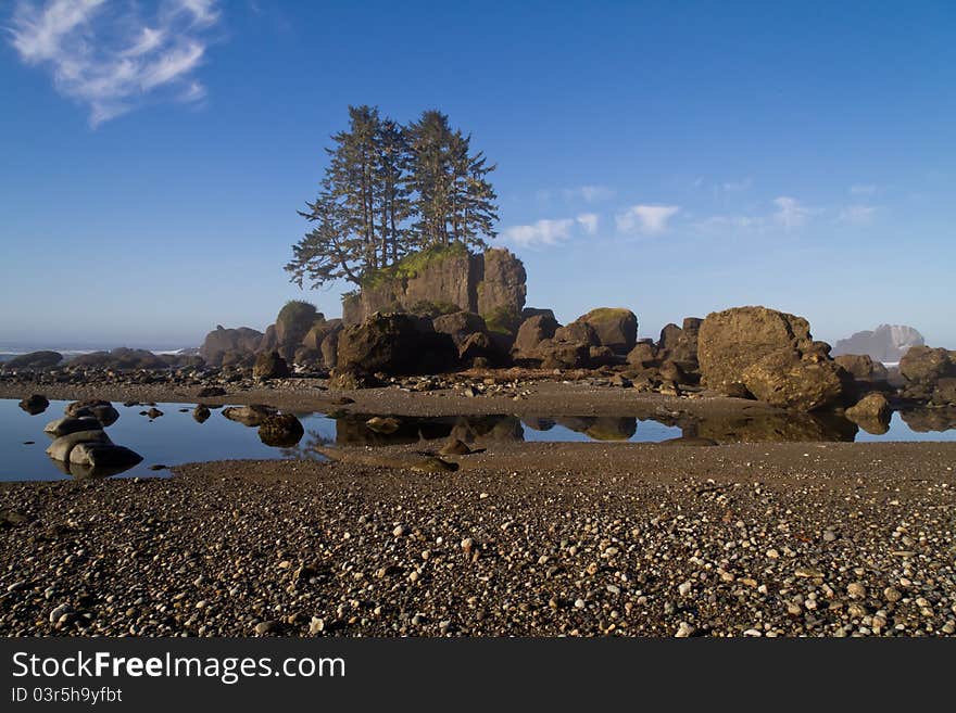 Landscape view off the West Coast Trail on the Vancouver Island at Low Tide