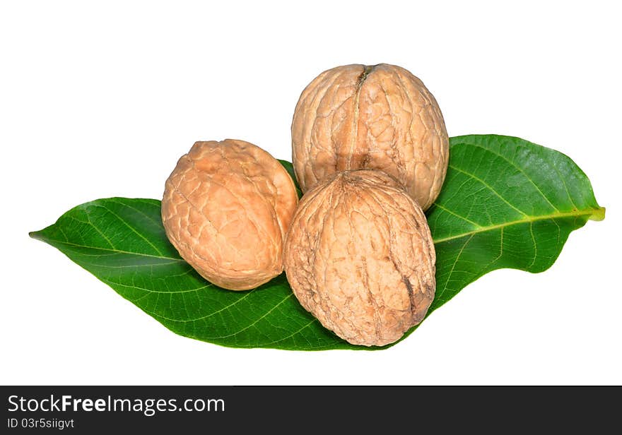 Walnuts Nuts