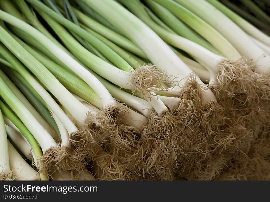 Fresh spring onions