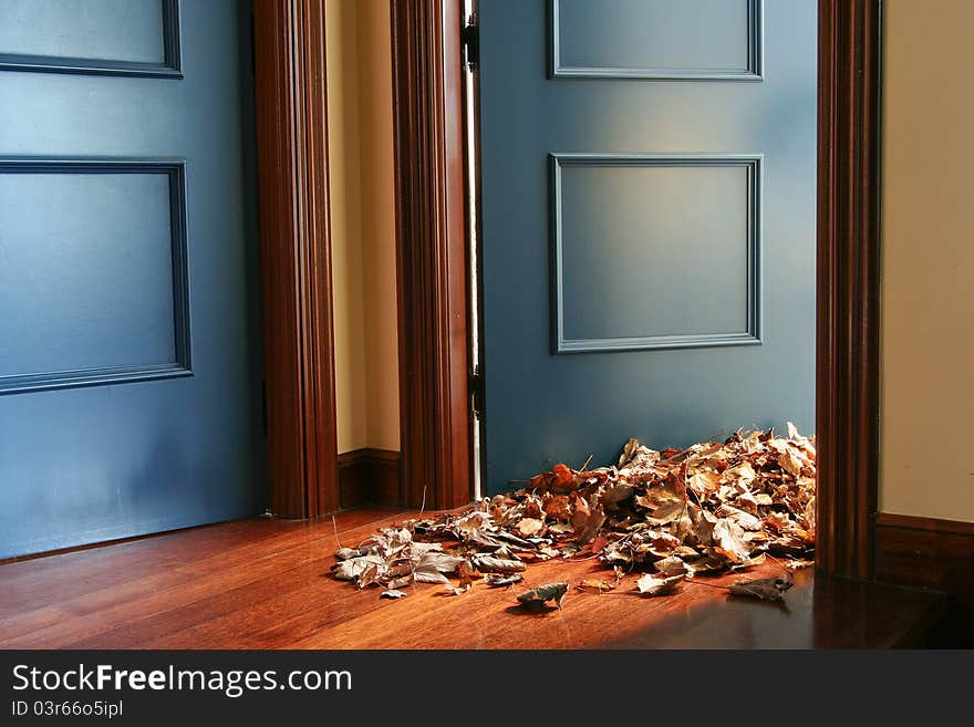 Leaves indoors on the floor, entering through a door