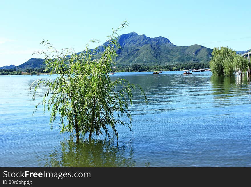 Landscape of lake