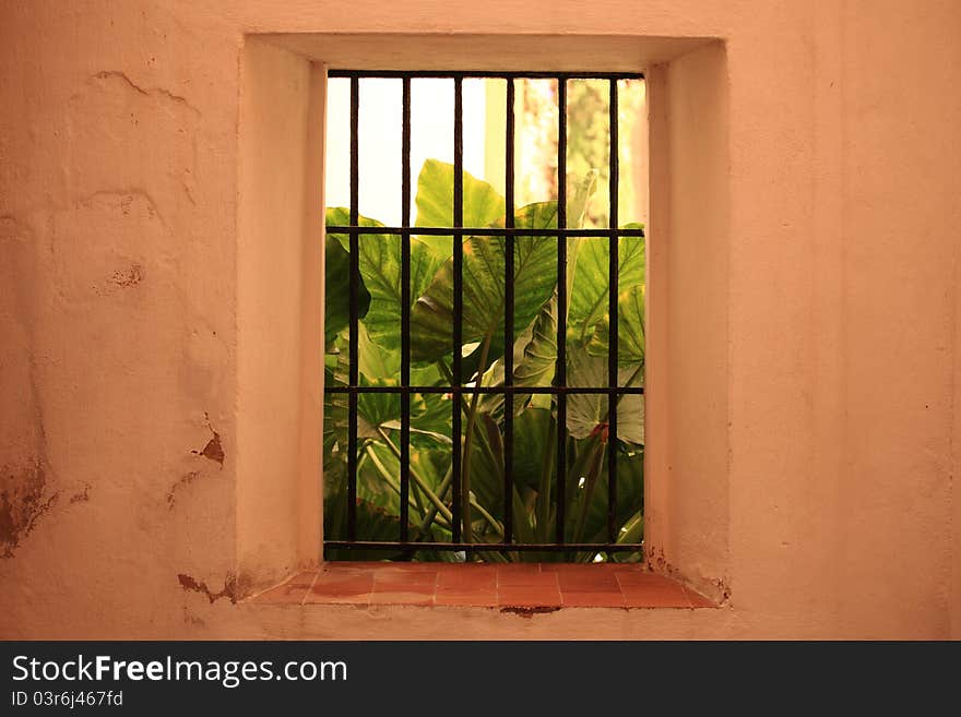 Window looking to one of the interior gardens of the Seville alcazar. Window looking to one of the interior gardens of the Seville alcazar.