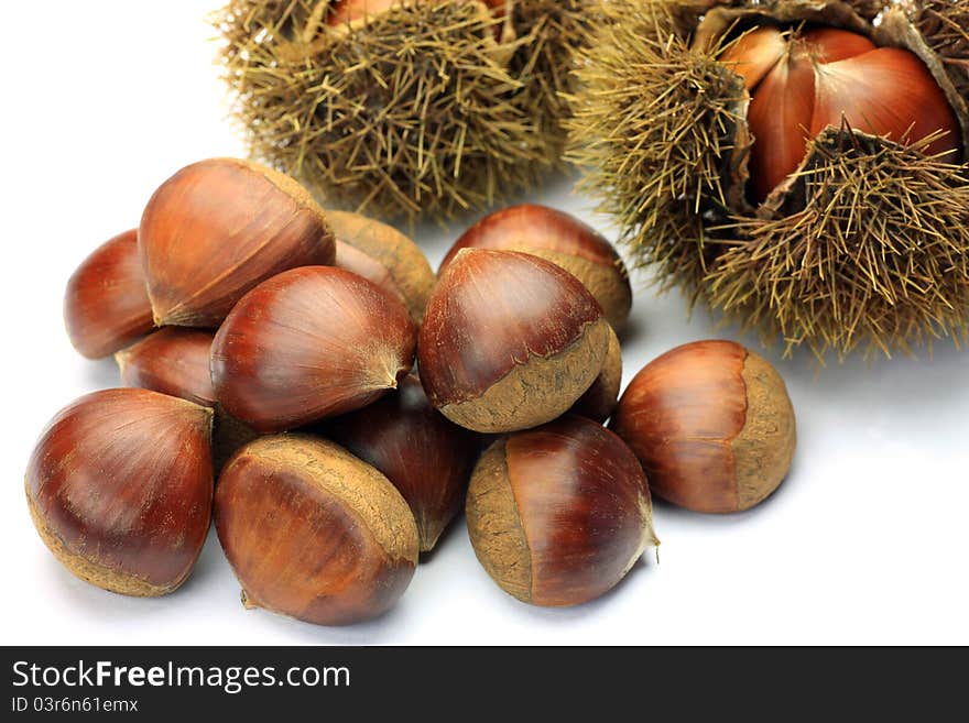 Chestnut