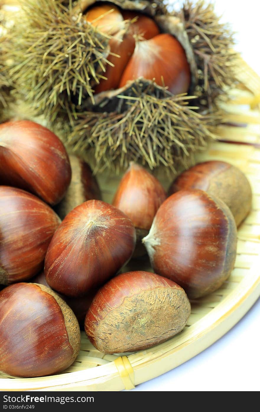 Chestnut