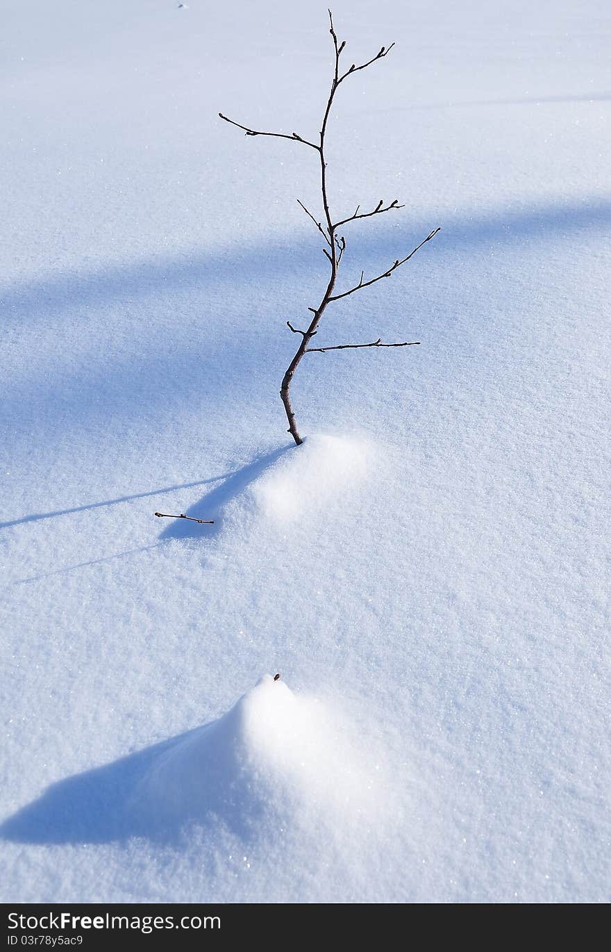 Branches and snowdrifts and shade on a winter day in a rural scene. Branches and snowdrifts and shade on a winter day in a rural scene