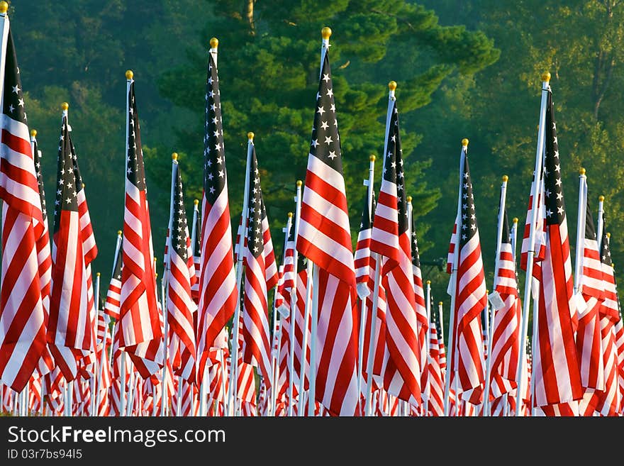 Flags In The Healing Fields For 9/11