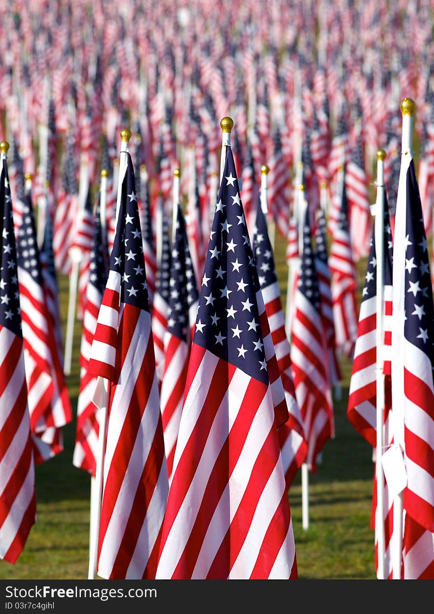 Flags set in a row as part of the healing fields for 9/11/2011 in Grand Rapids Michigan. Each flag was designed to represent a person who died in the terrorist attacks on 9/11/2001. Flags set in a row as part of the healing fields for 9/11/2011 in Grand Rapids Michigan. Each flag was designed to represent a person who died in the terrorist attacks on 9/11/2001.