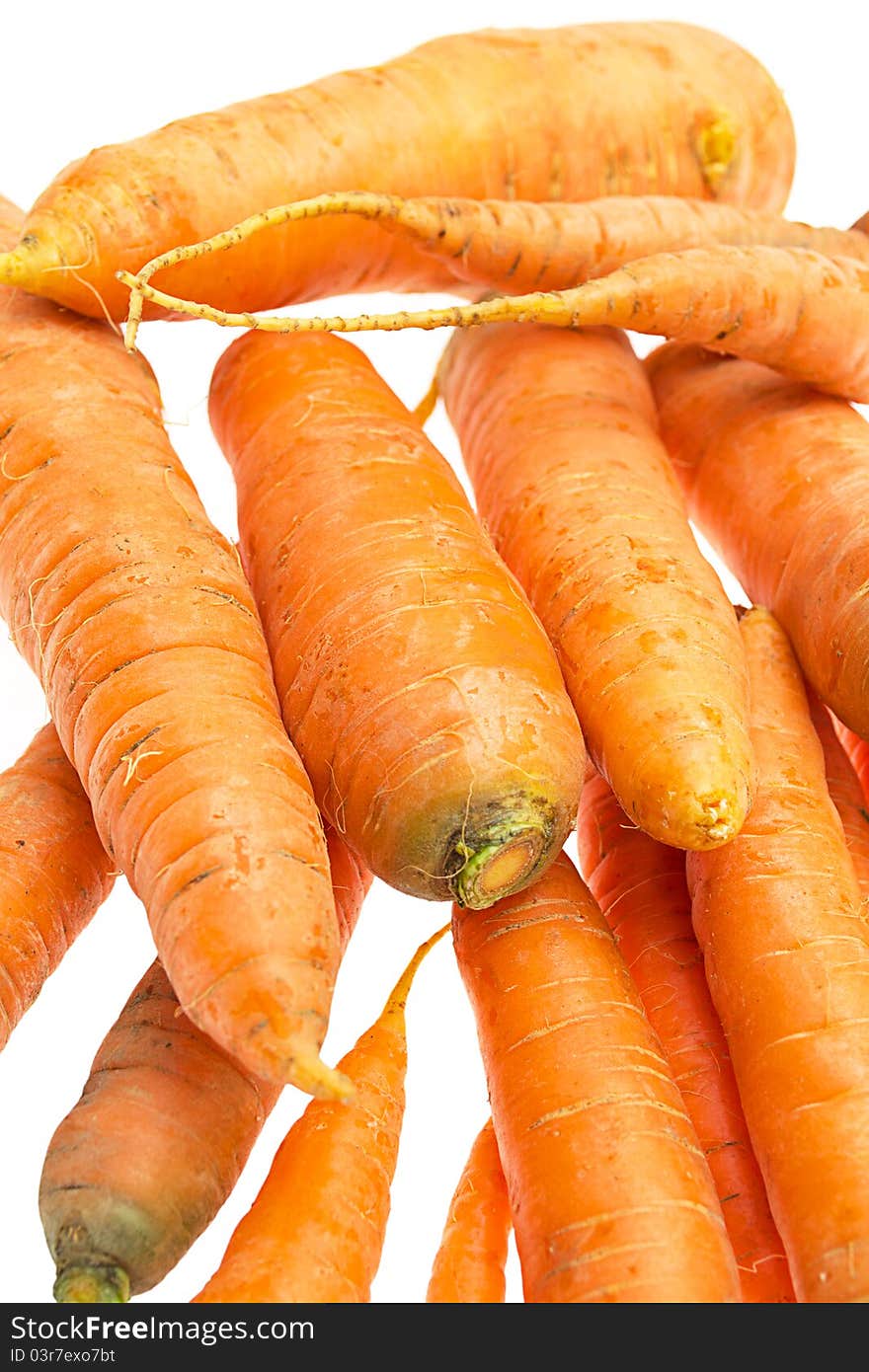 Carrot - a close up on white