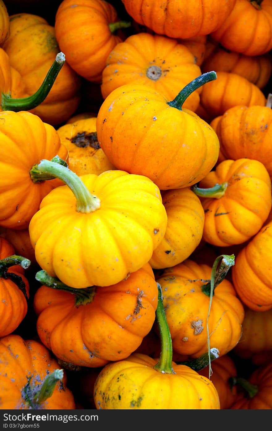 Pumpkins