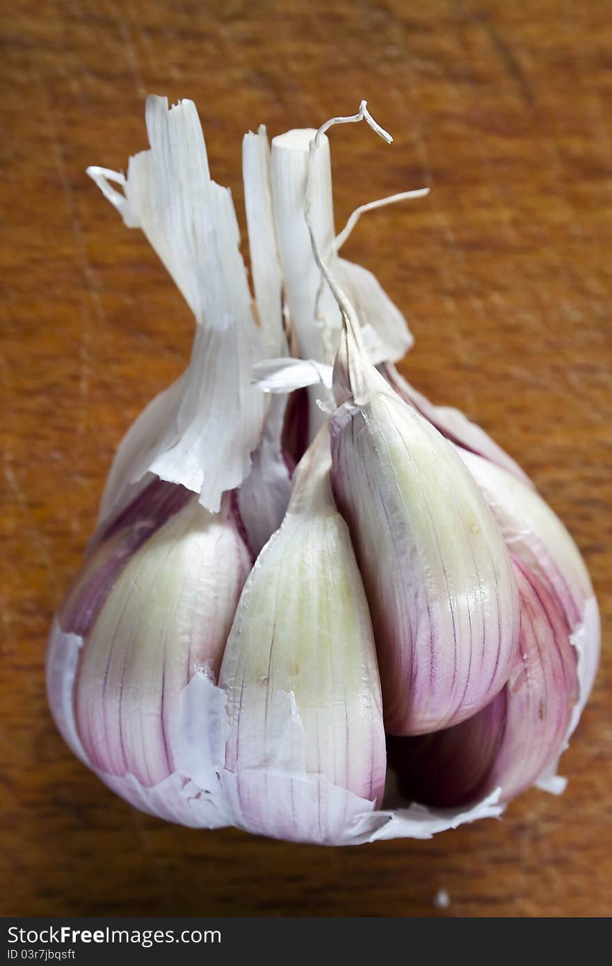 Violet garlic