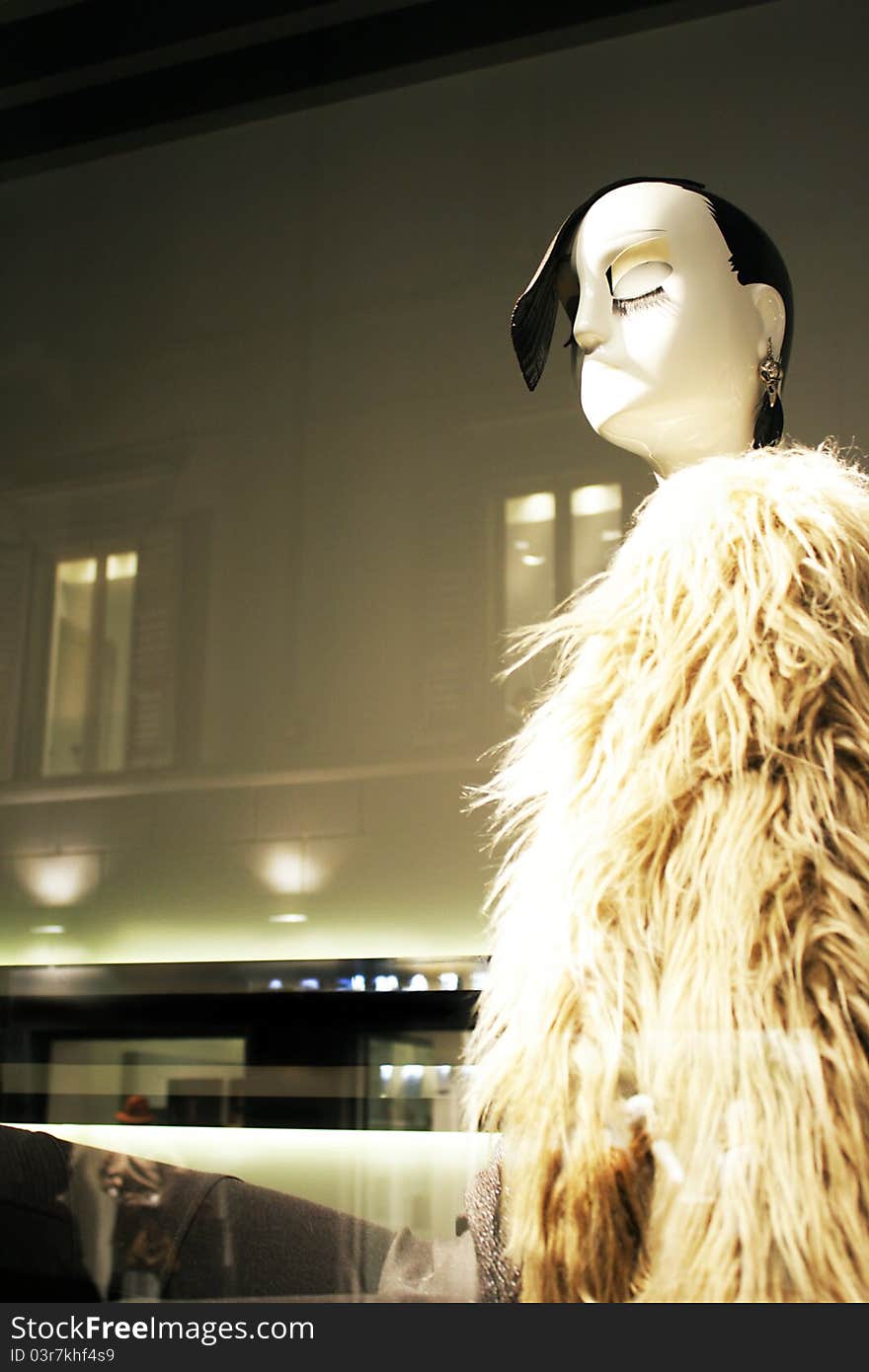 Female mannequin in the window