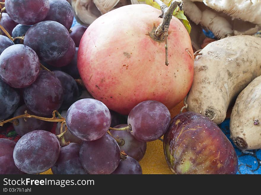 Autumn vegetable on the cloth