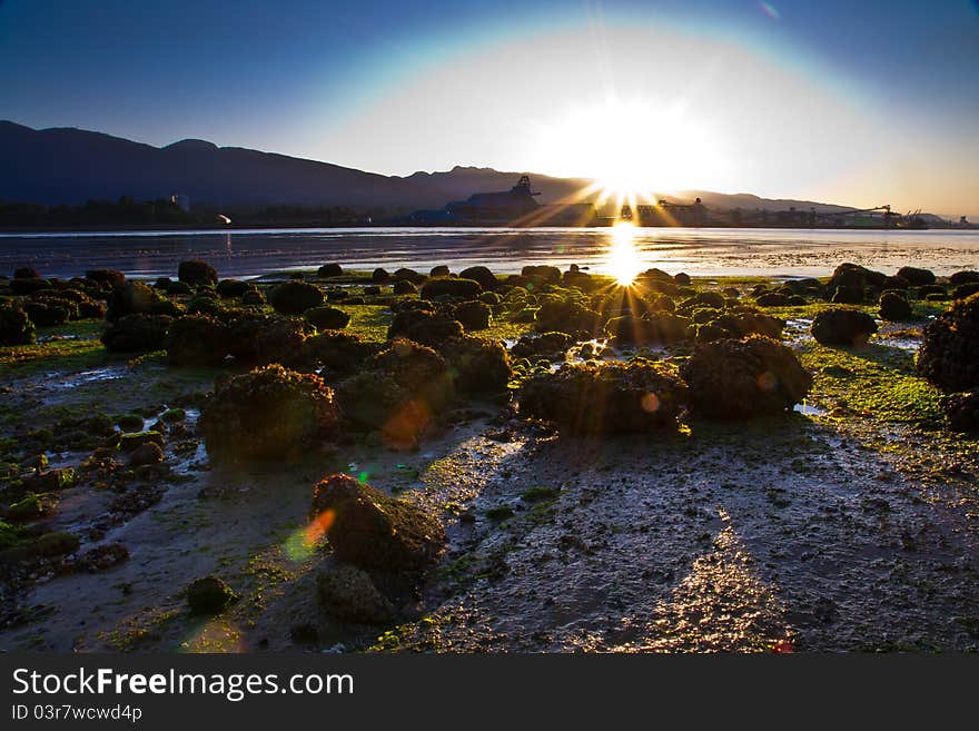 Sunrise on rocky green beach. Sunrise on rocky green beach.