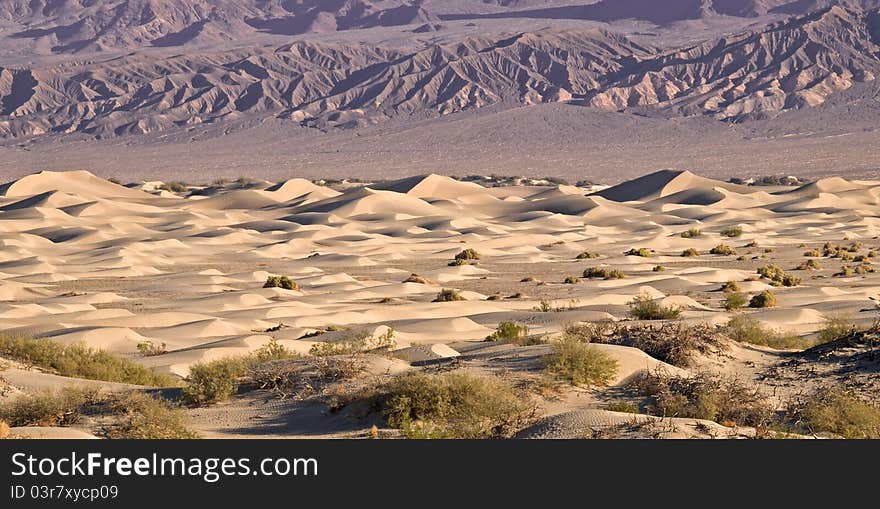 Death valley mesquite sand dunes