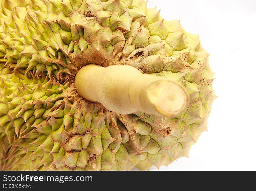 Durian fruit