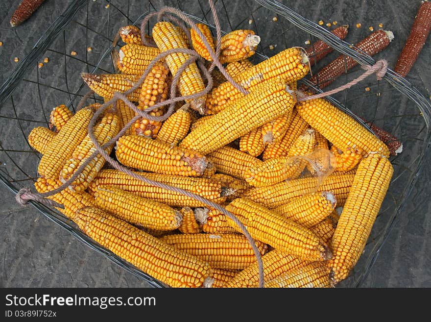 Dry corns in a basket