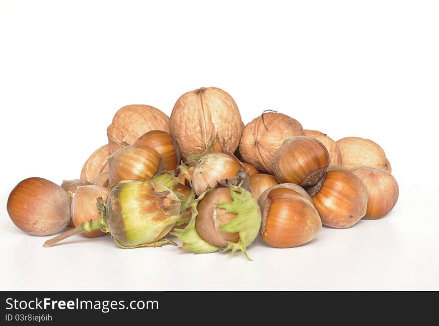 Hazelnuts and walnuts on white background