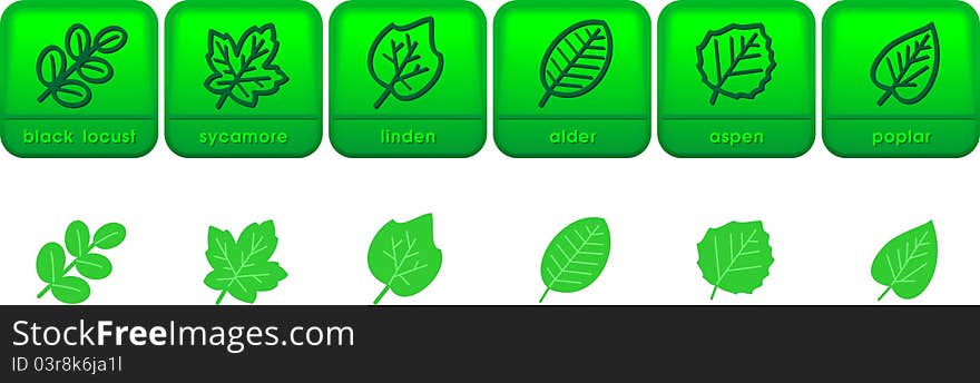 Set of assorted symbols of tree leaves