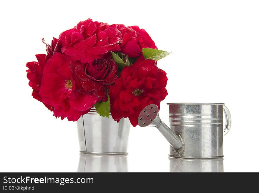 Bucket Of Red Roses Next To Watering