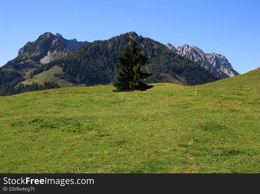 Beautiful landscape in the mountains near the Walchsee in Austria