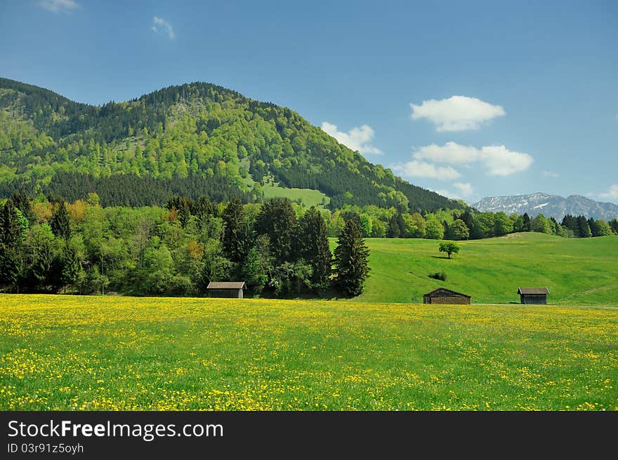 Alpine countryside