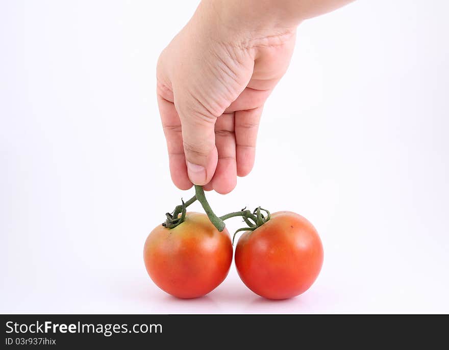 Tomatoes