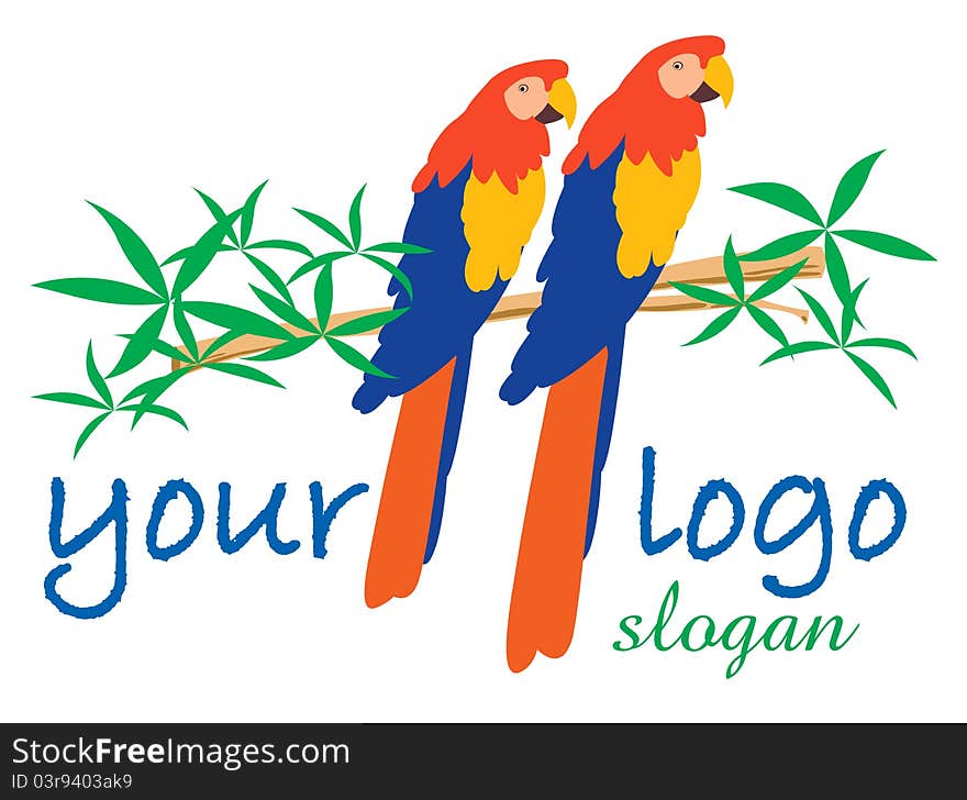 Two parrots colorful illustration on white background. Two parrots colorful illustration on white background