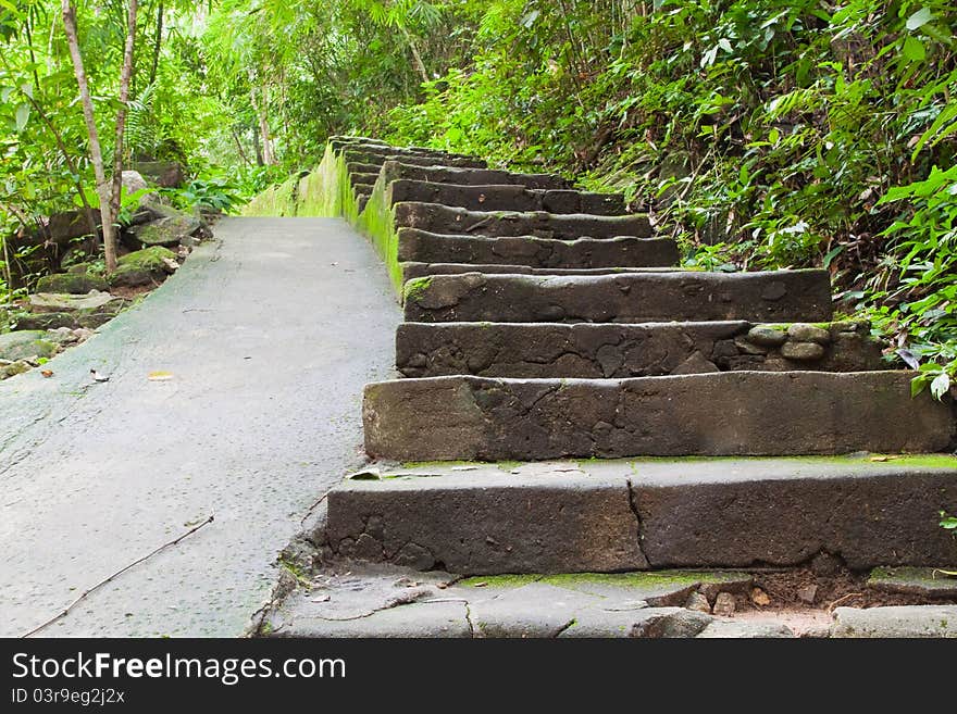 Walk way in Namtokphlio National Park,Chantaburi Province, ,Thailand.