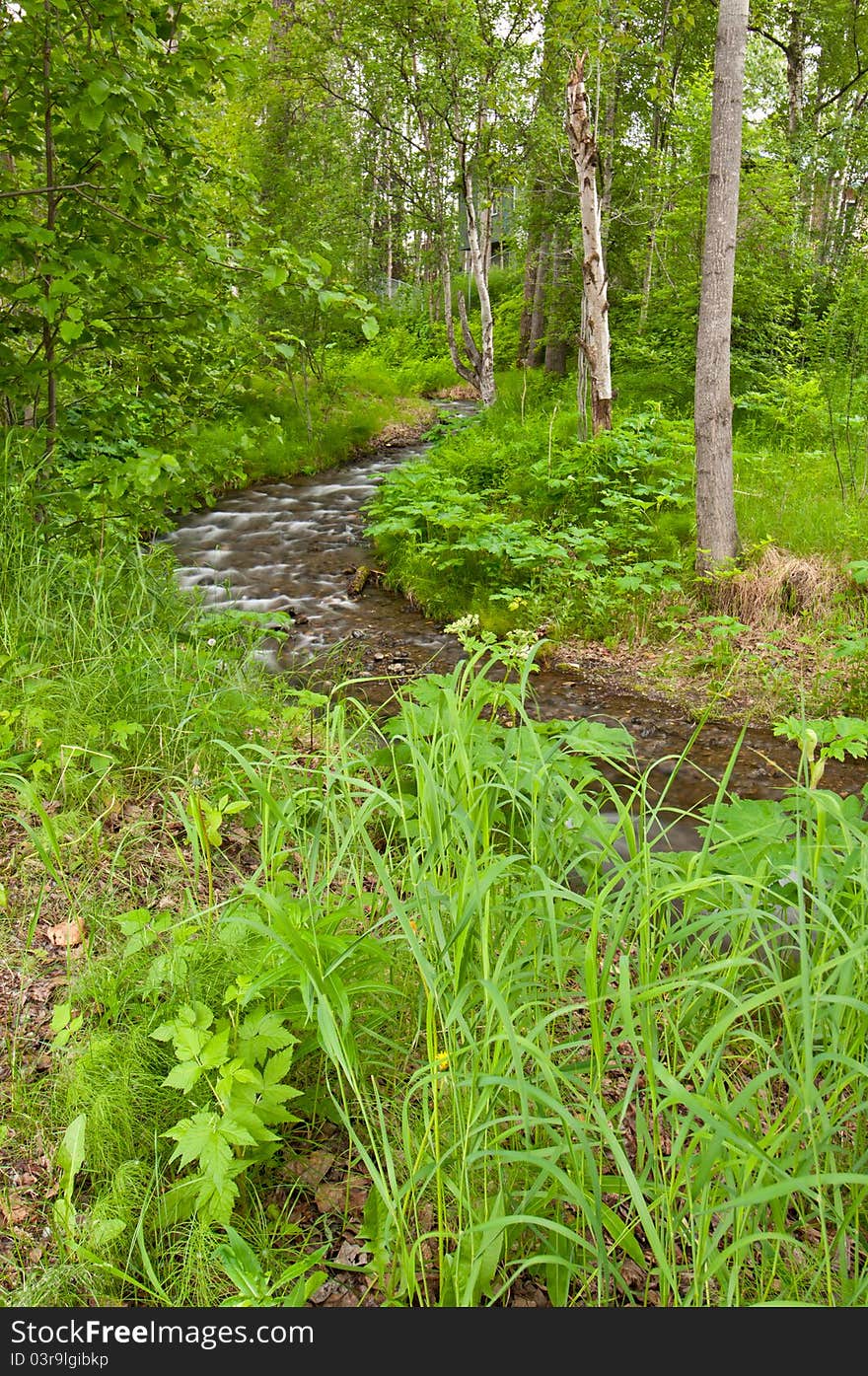 Landscape of meandering river winding through a dense forest. Landscape of meandering river winding through a dense forest.