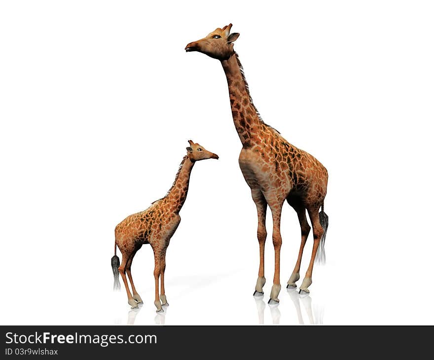 The giraffe and baby giraffe