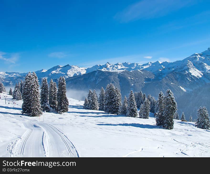 Winter In Alps