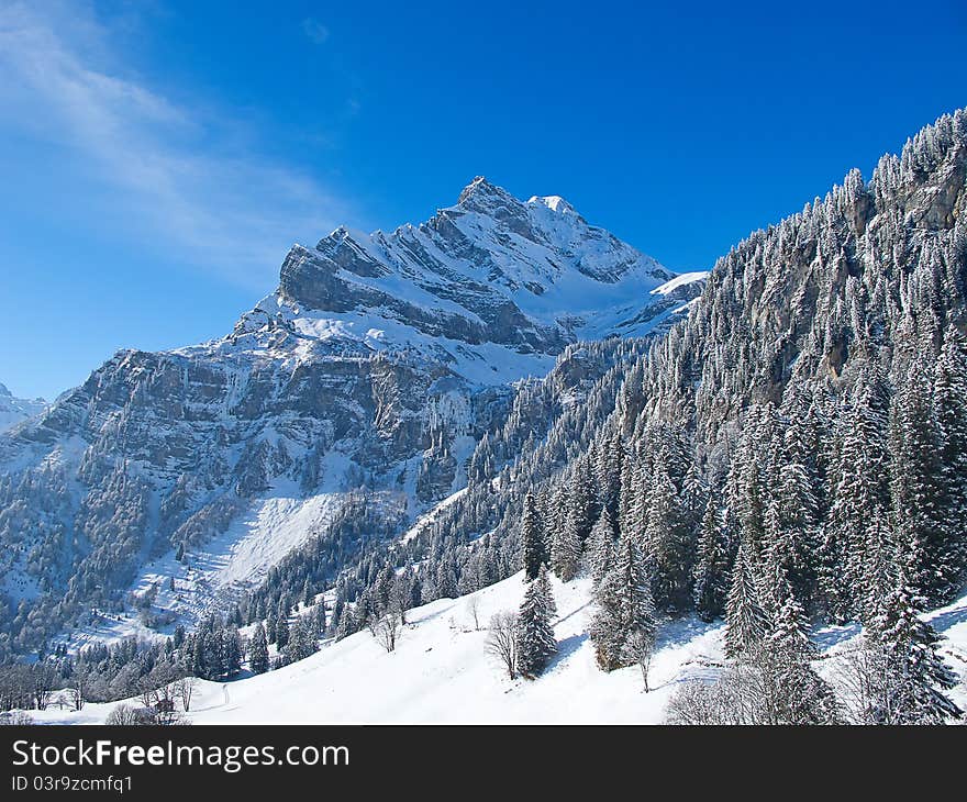 Winter in alps