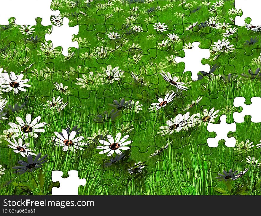 Puzzle of a flower meadow and grass. Puzzle of a flower meadow and grass