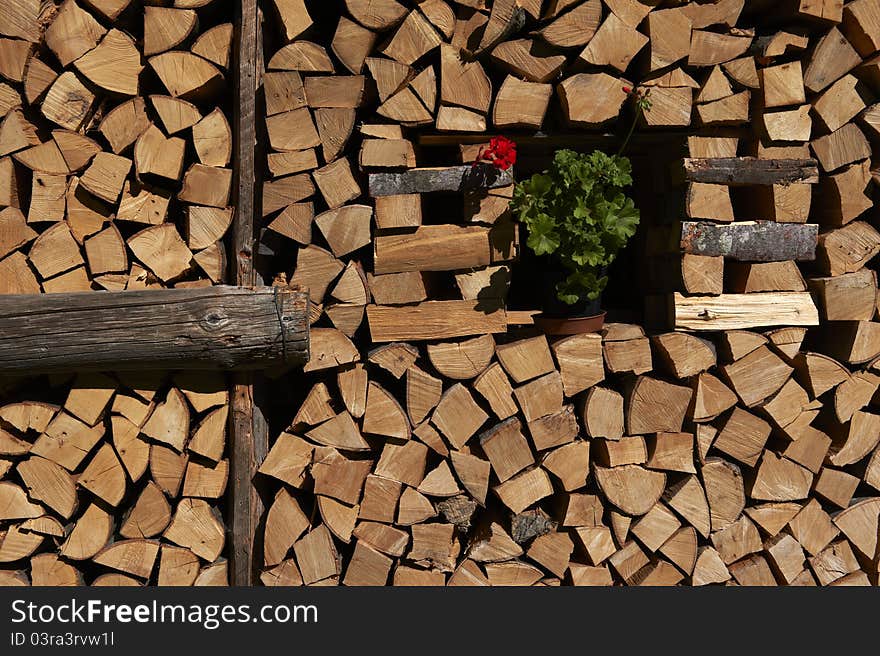 Stack of firewood