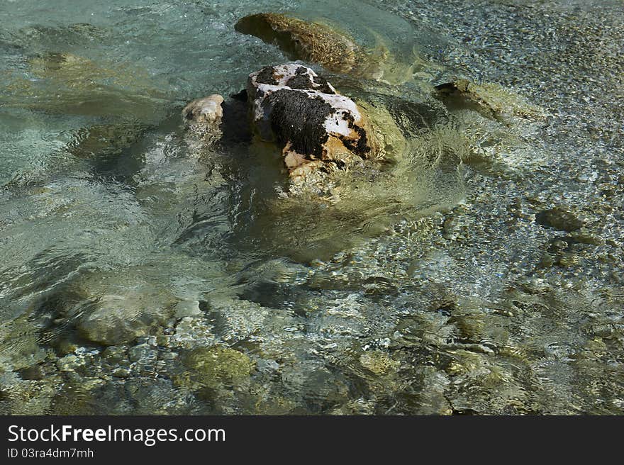 Very clear green river water. Very clear green river water