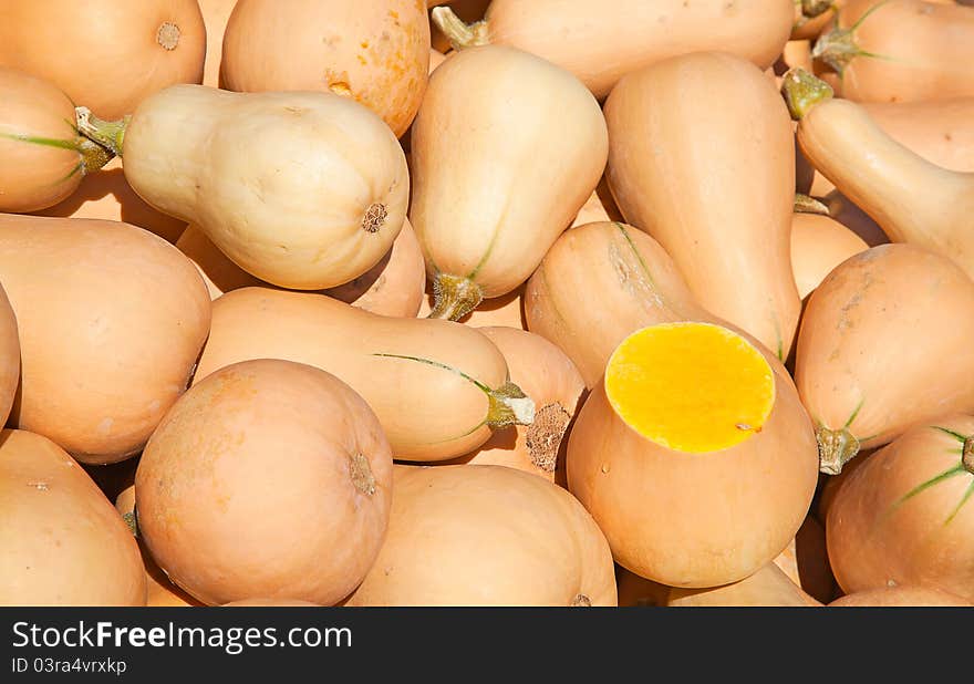 Colorful pumpkins collection on the autumn market