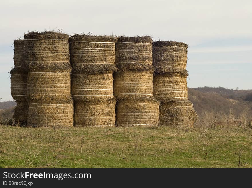 Golden Hay Bales