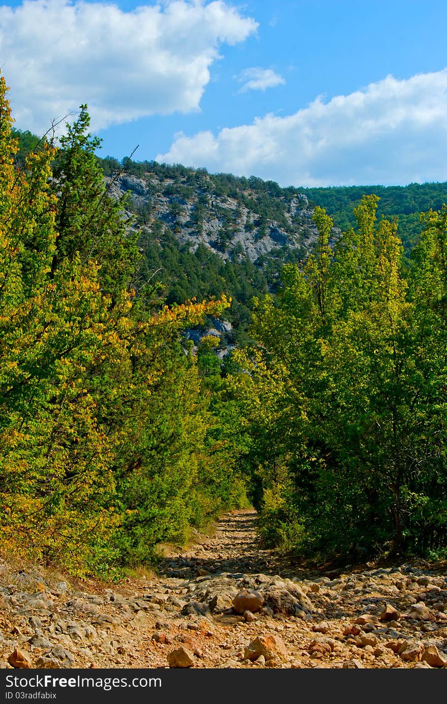 Country road leads to the foot of the mountains