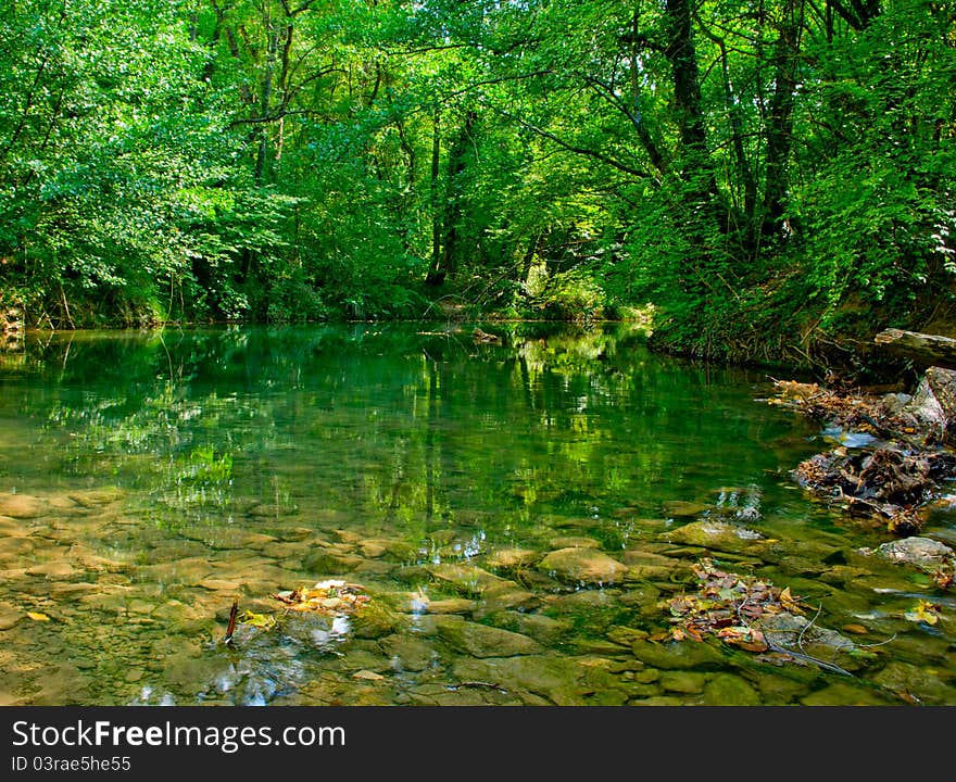 River in autumn forest. Nature composition