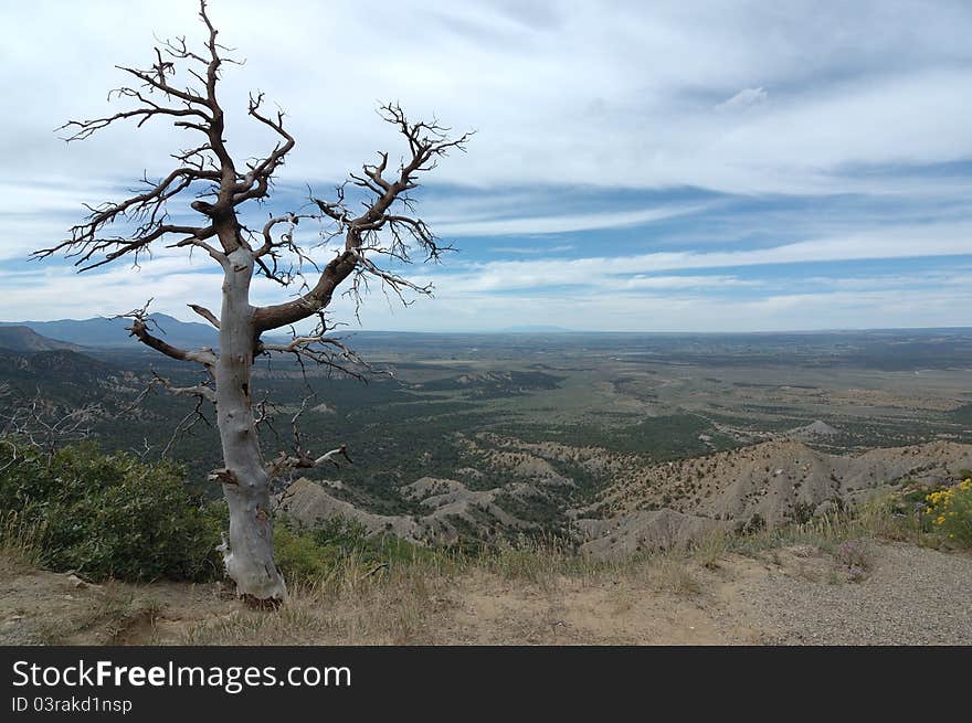 A view from the plateau of the mesa verde in the US state colorado