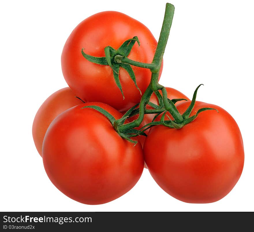 Tomatoes branch