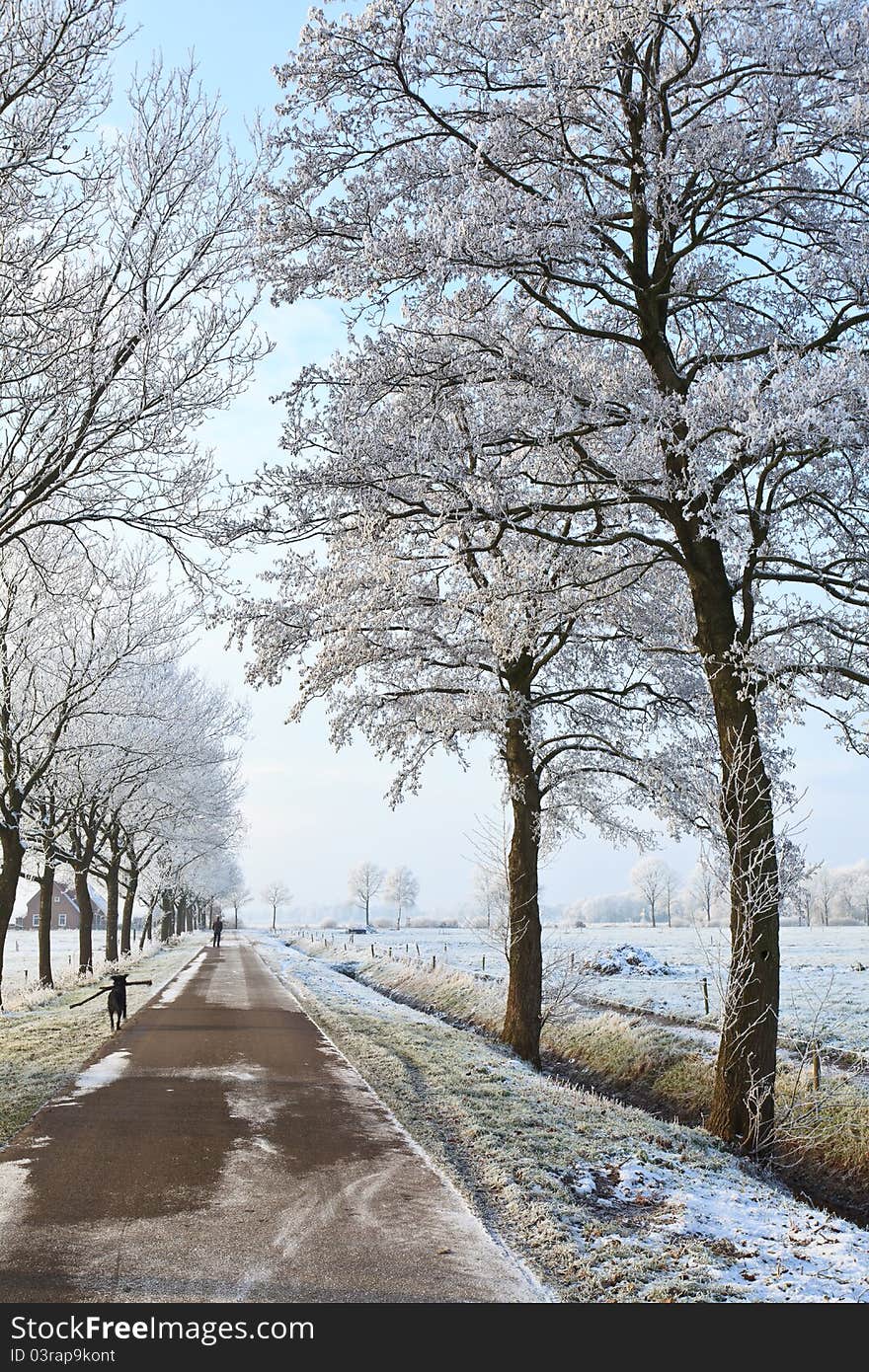 Small street in a cold white winter landscape. Small street in a cold white winter landscape