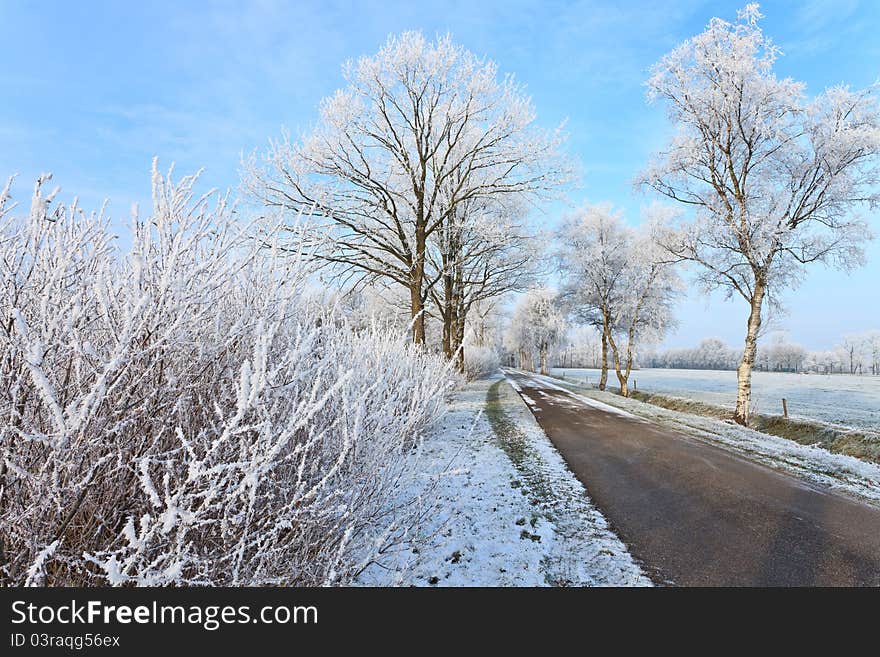 Small street in a cold white winter landscape. Small street in a cold white winter landscape