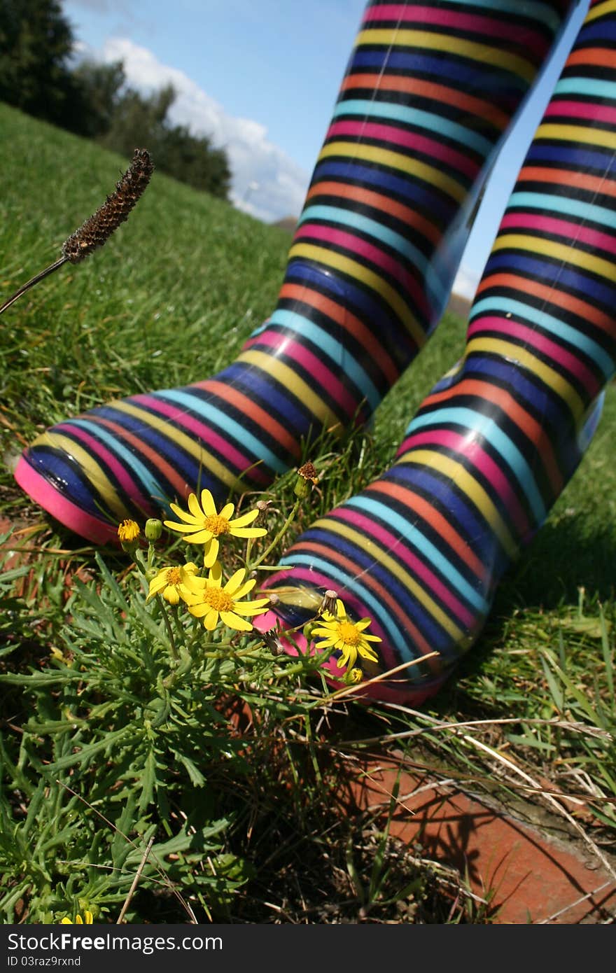Stripy wellington boots among flowers and grass. Stripy wellington boots among flowers and grass